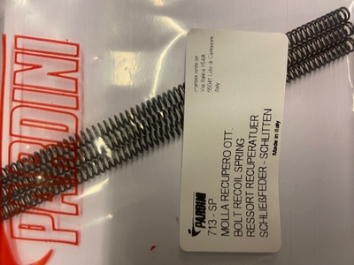 Pardini Bolt recoil spring